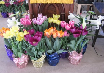 Holy Week Recap