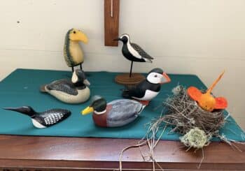 Summer Sermon Series – Birds in the Bible!